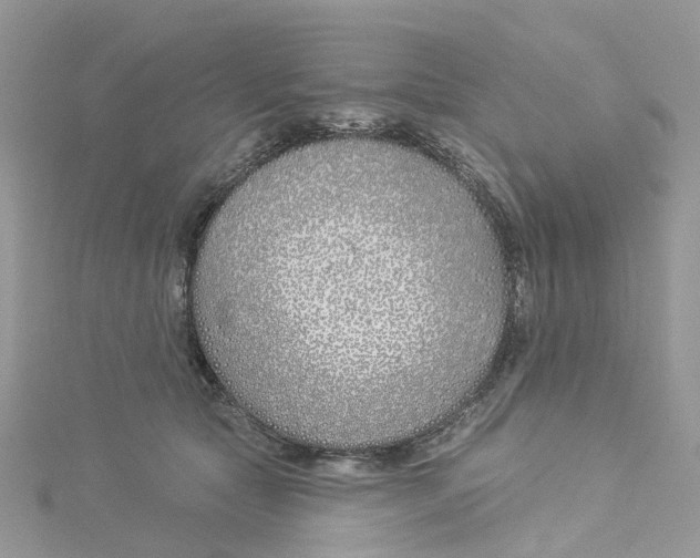 X0000114510561200911161257