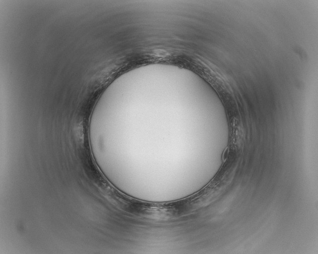 X0000114510562200911161257