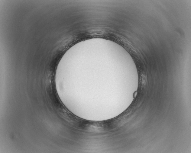 X0000114510567200911161258