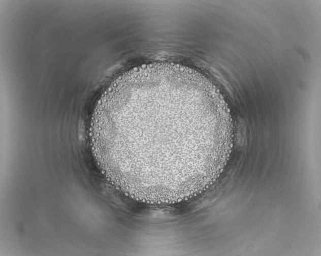 X0000114510569200911161258