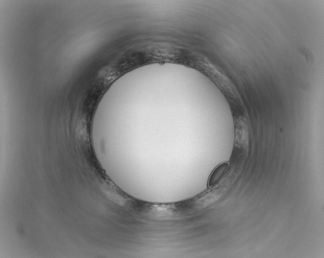 X0000114510573200911161258