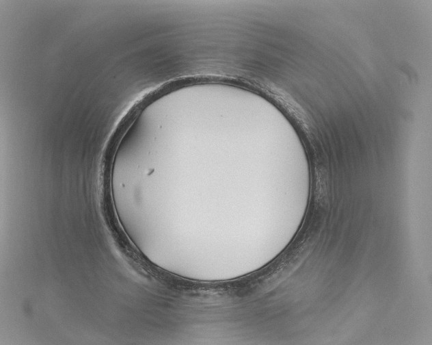 X0000114510580200911161257