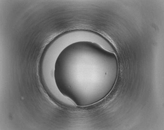 X0000114510581200911161257