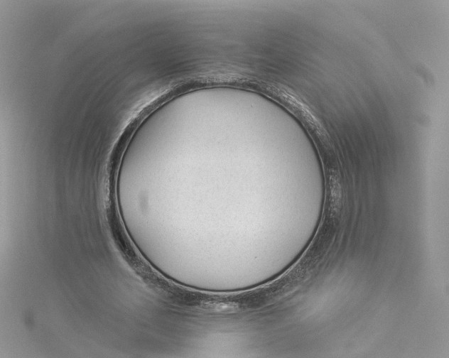 X0000114510582200911161257