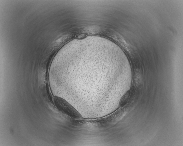 X0000114510585200911161257