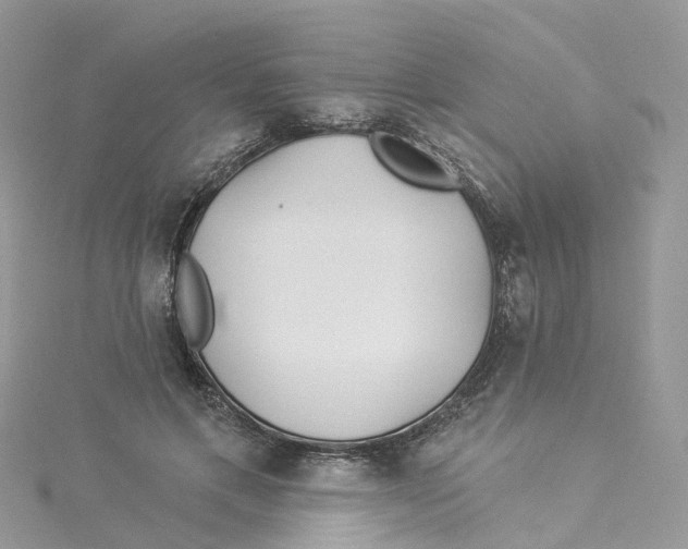 X0000114510597200911161257