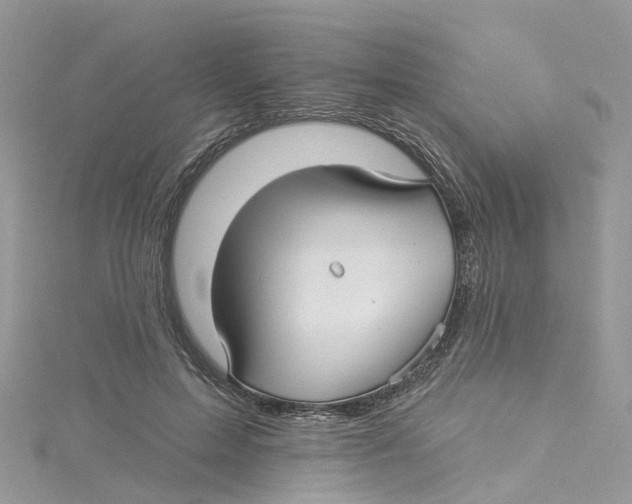 X0000114510599200911161257