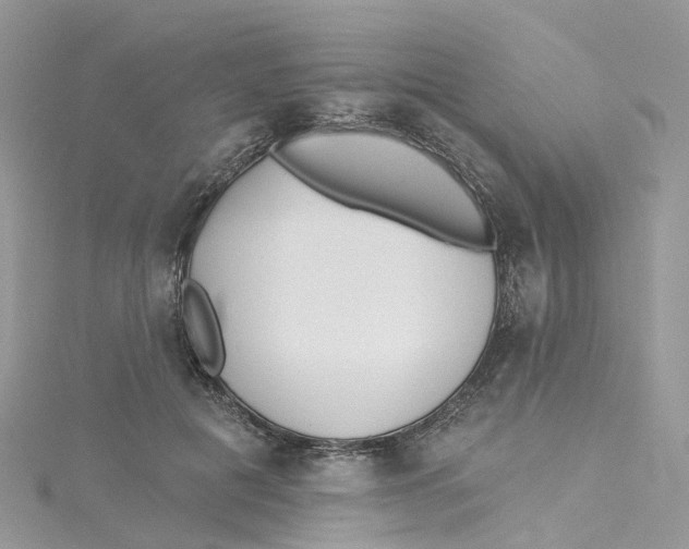 X0000114510601200911161257