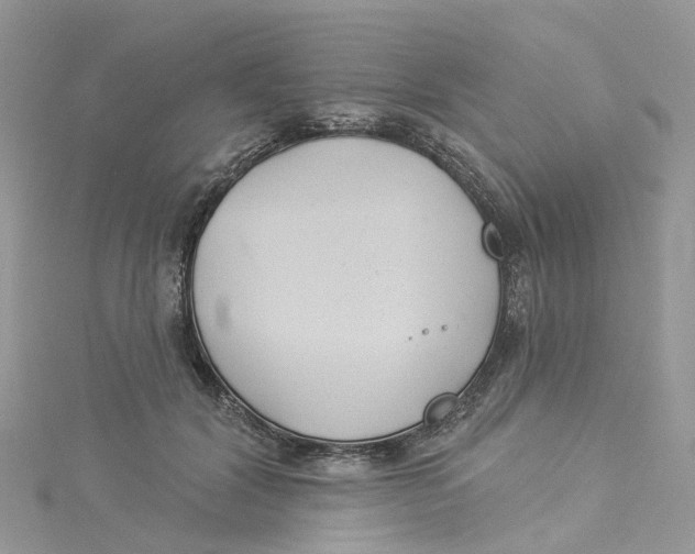 X0000114510604200911161257