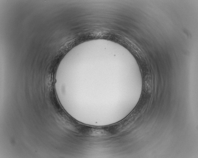 X0000114510605200911161257