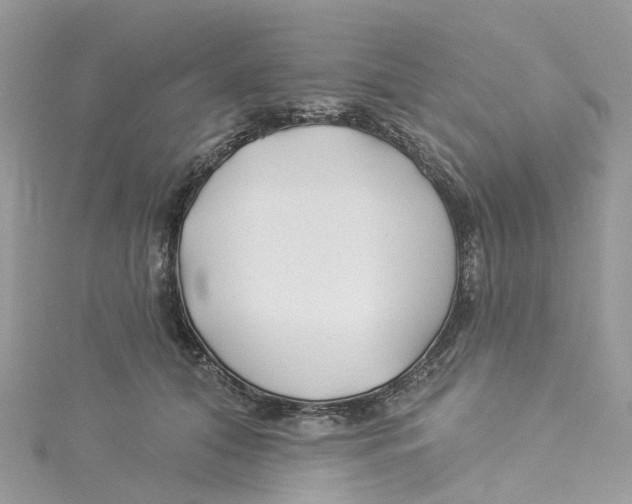 X0000114510608200911161256