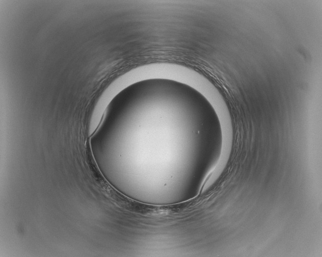 X0000114510609200911161256