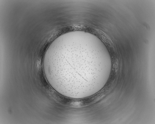 X0000114510610200911161256