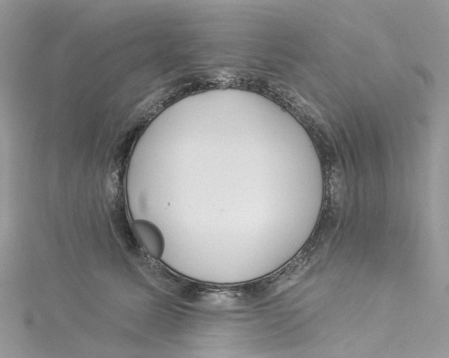 X0000114510611200911161256