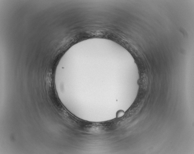 X0000114510612200911161256