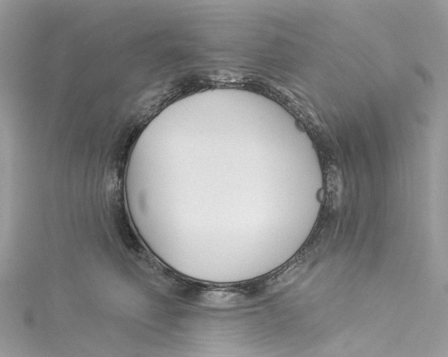 X0000114510614200911161256