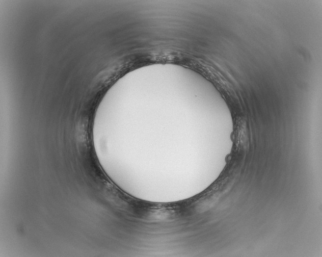 X0000114510616200911161256