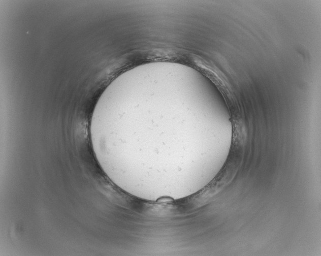 X0000114510621200911161256