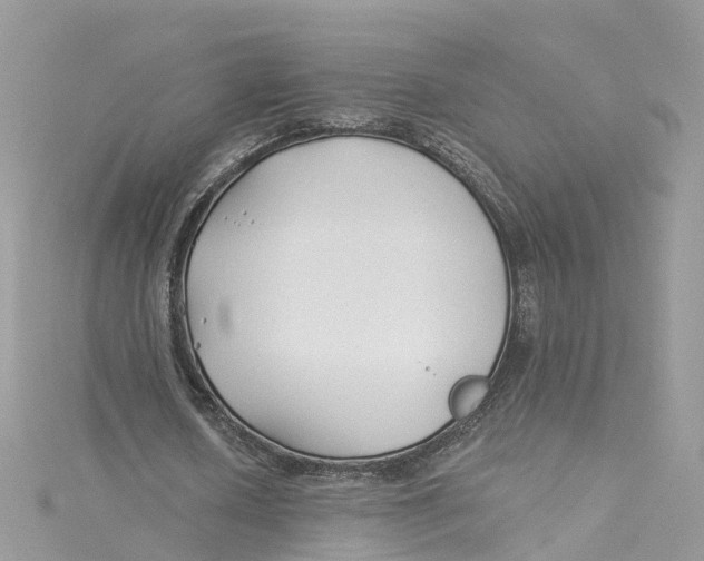 X0000114510626200911161256