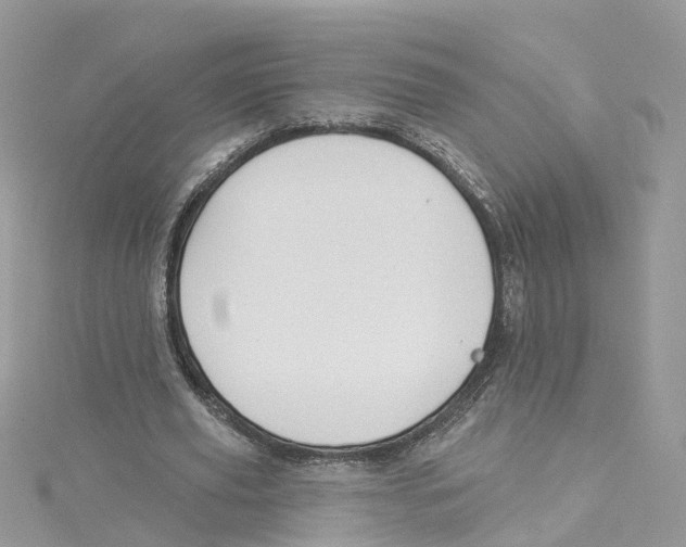 X0000114510629200911161256