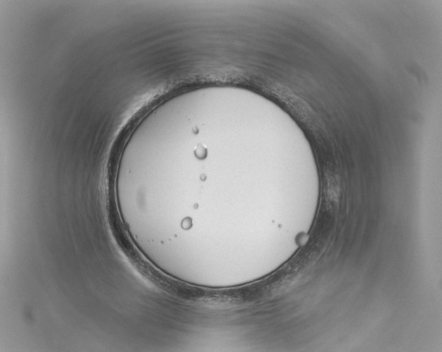 X0000114510630200911161256