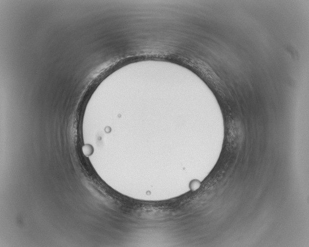 X0000114510632200911161256