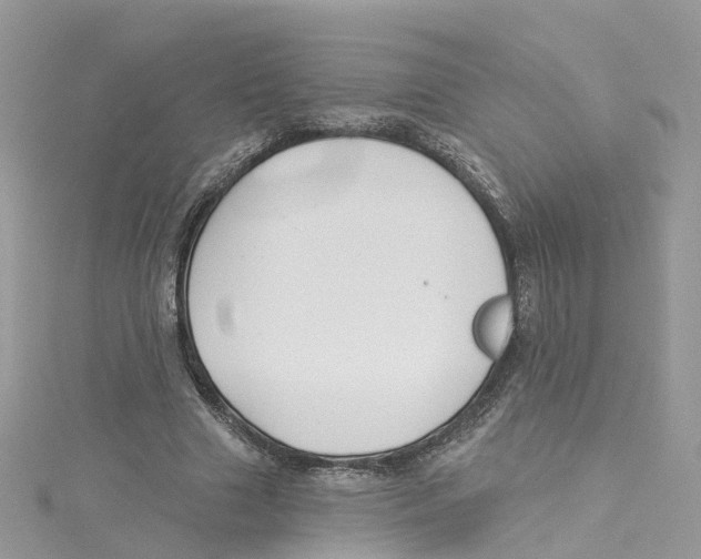 X0000114510633200911161256