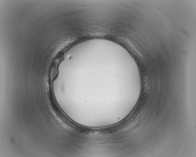 X0000114510634200911161256