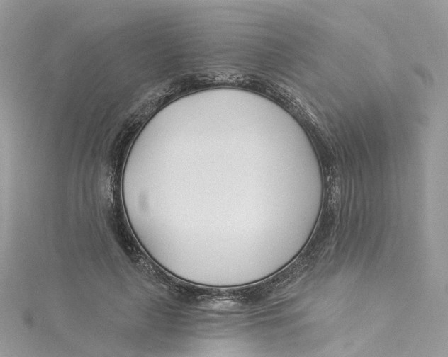 X0000114510643200911161256