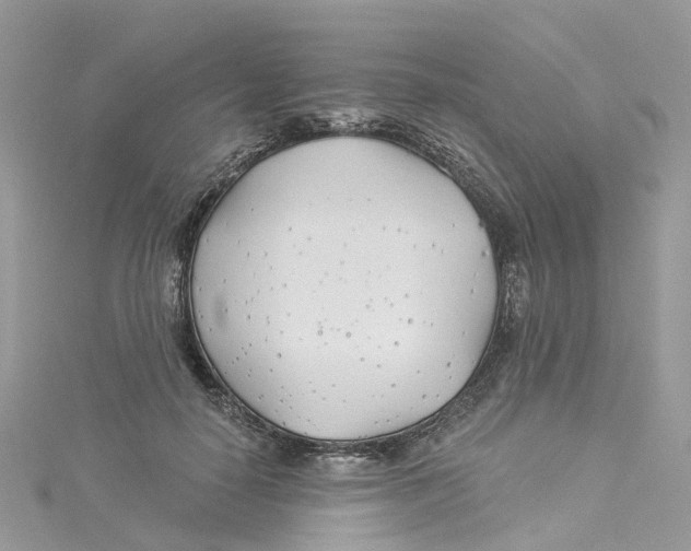 X0000114510650200911161256