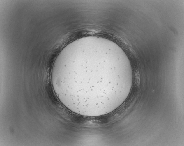 X0000114510657200911161256