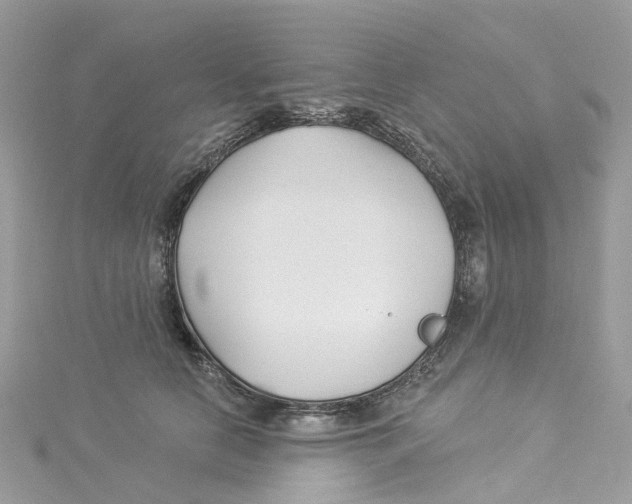 X0000114510658200911161256