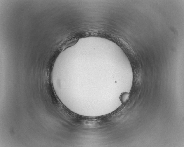 X0000114510661200911161256