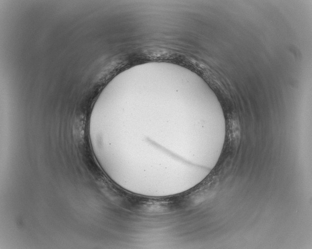 X0000114510664200911161256