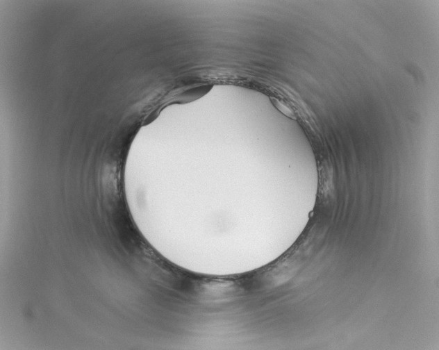 X0000114510669200911161256