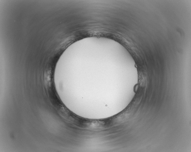 X0000114510670200911161256