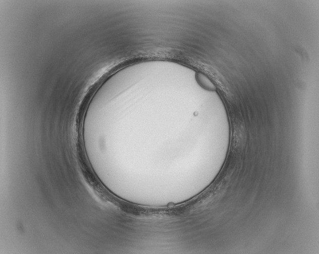 X0000114510674200911161256