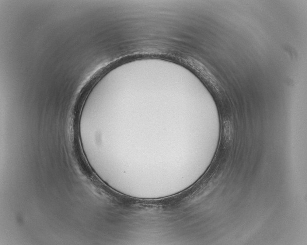 X0000114510676200911161256