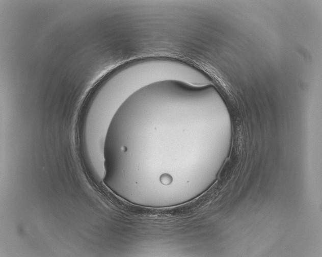 X0000114510680200911161256