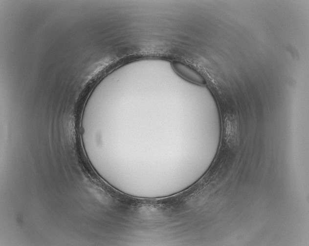 X0000114510684200911161256