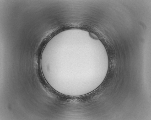 X0000114510688200911161255