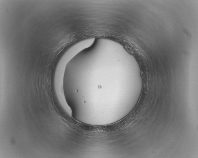 X0000114510696200911161255