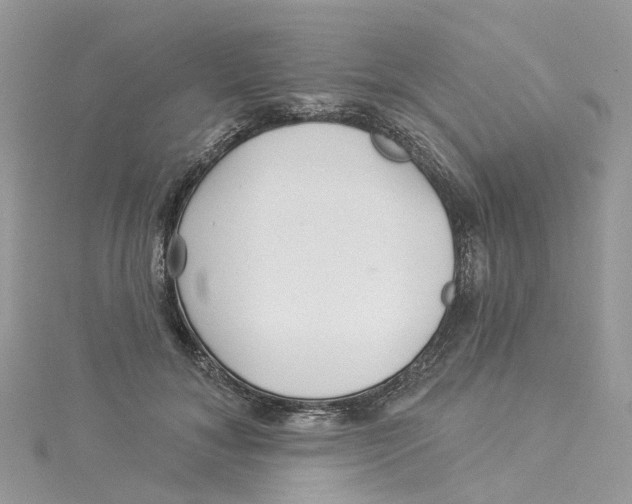 X0000114510700200911161255