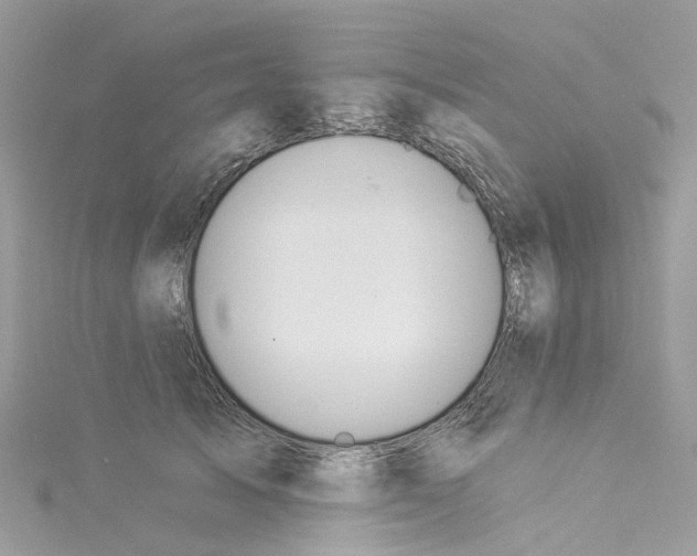 X0000114510705200911161255