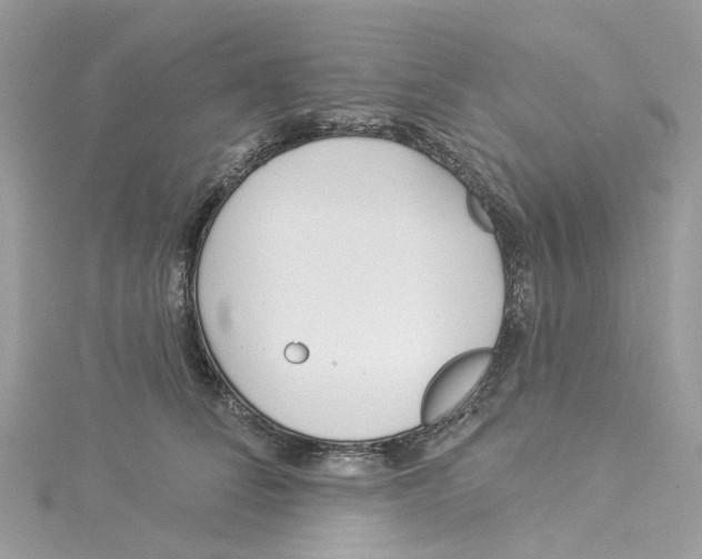 X0000114510708200911161255