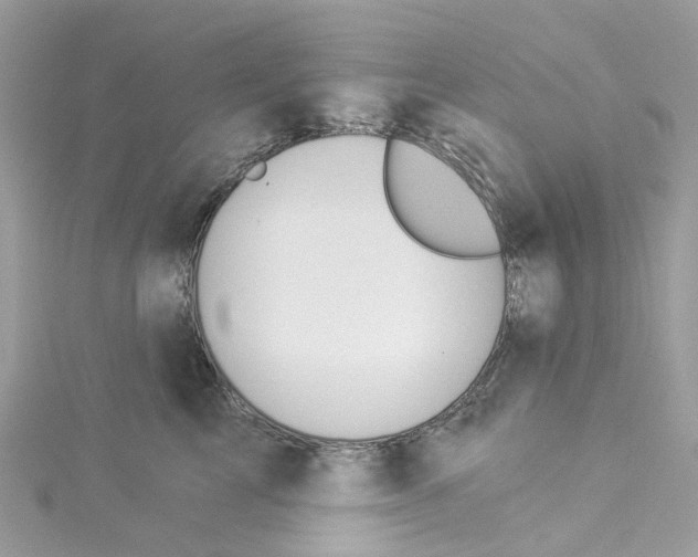 X0000114510713200911161255