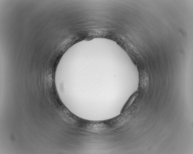 X0000114510716200911161255