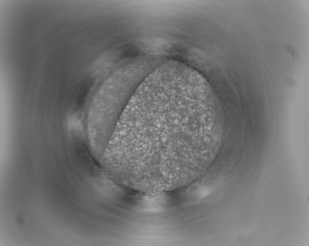 X0000114510720200911161255