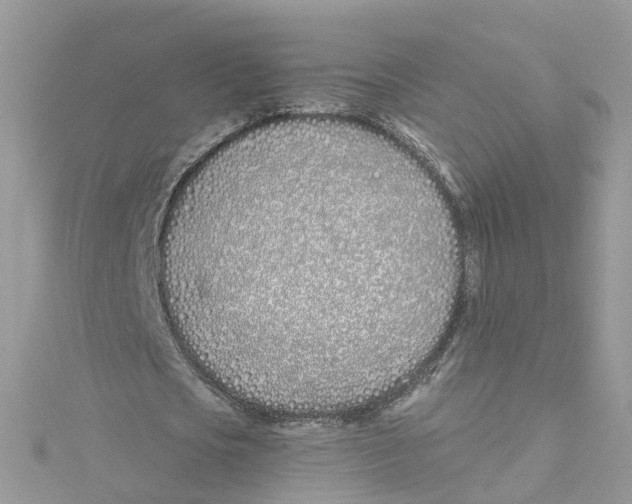 X0000114510721200911161254