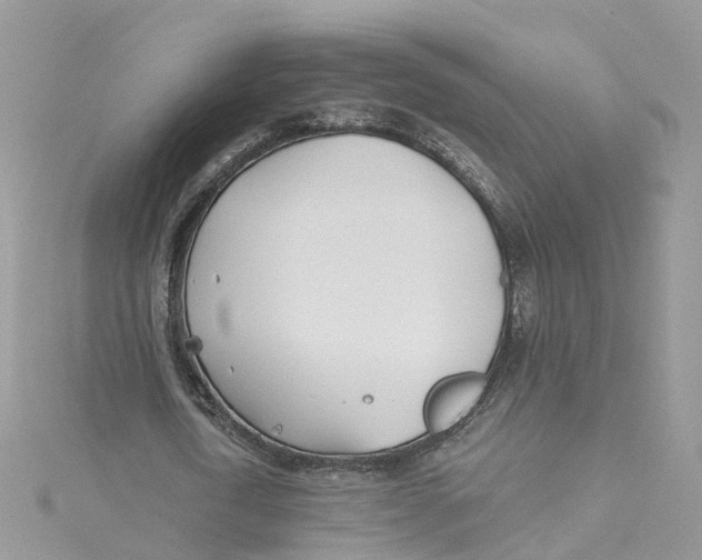 X0000114510722200911161254